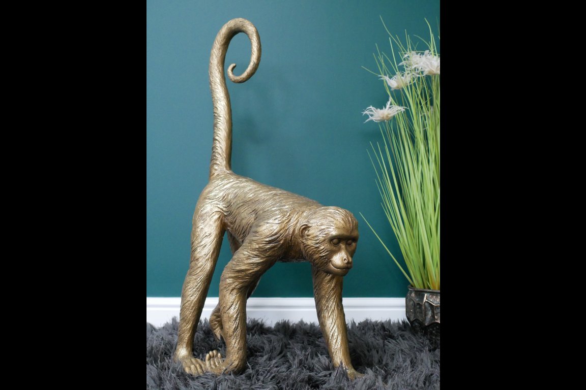 Monkey