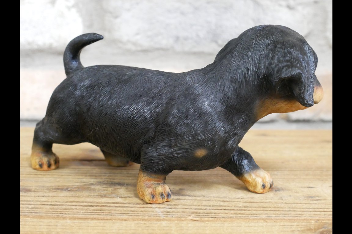 Small Dog