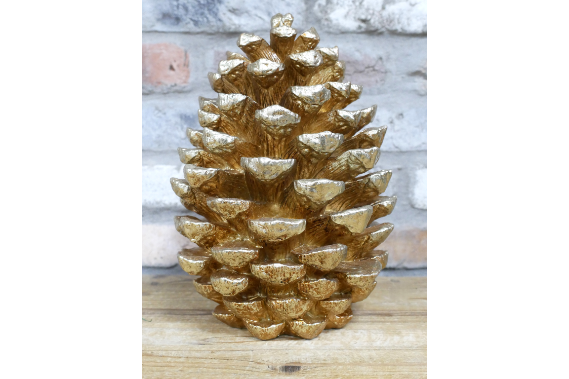 Giant Pinecone