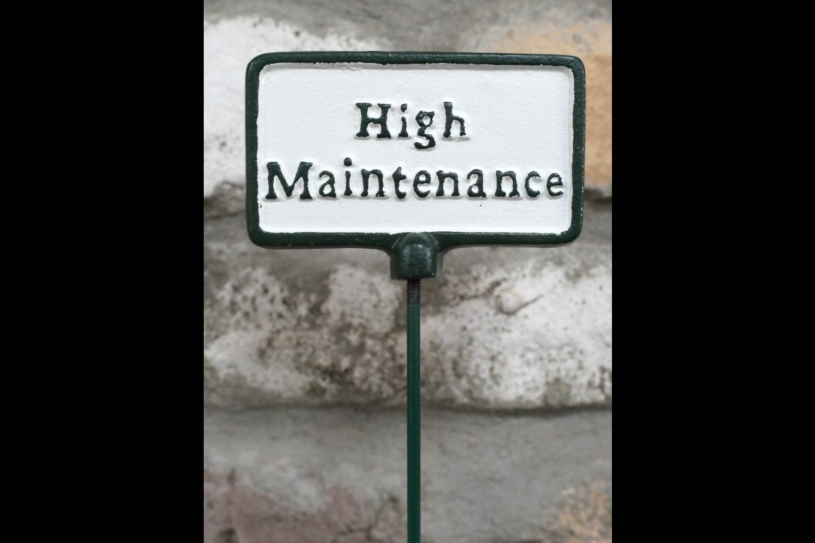 Plant Sign - High Maintenance