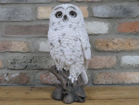 Solar Owl