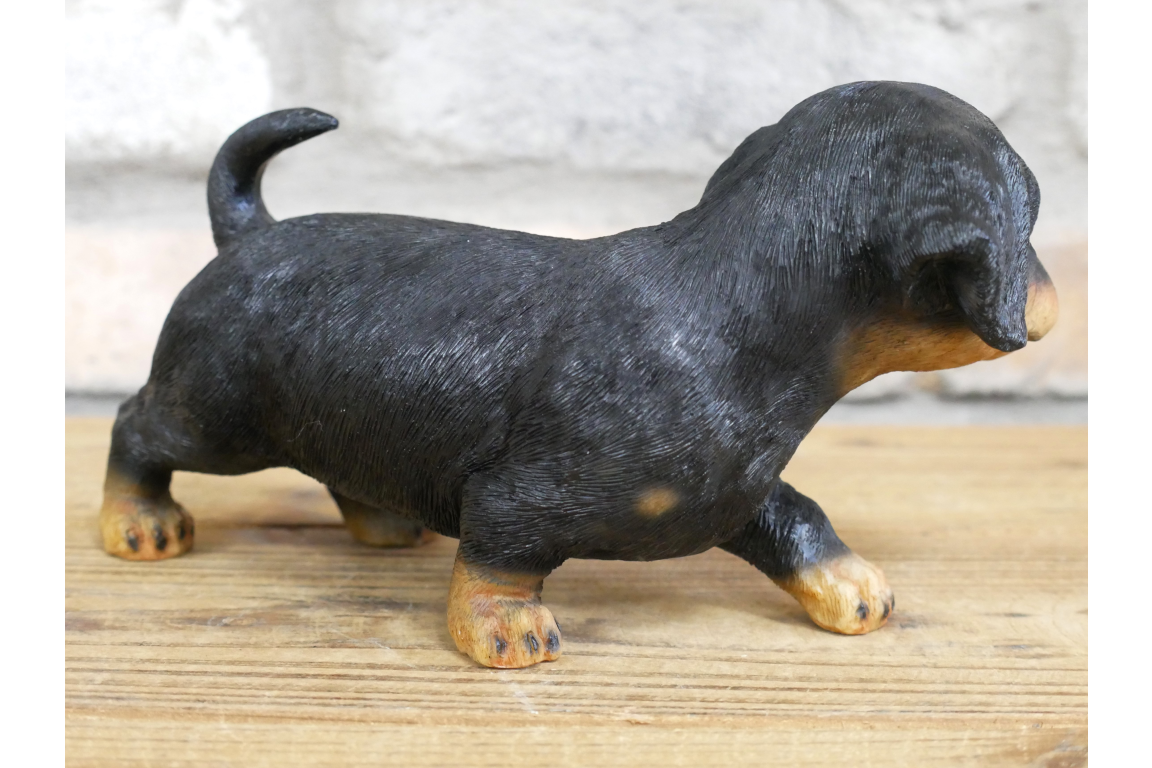 Small Dog