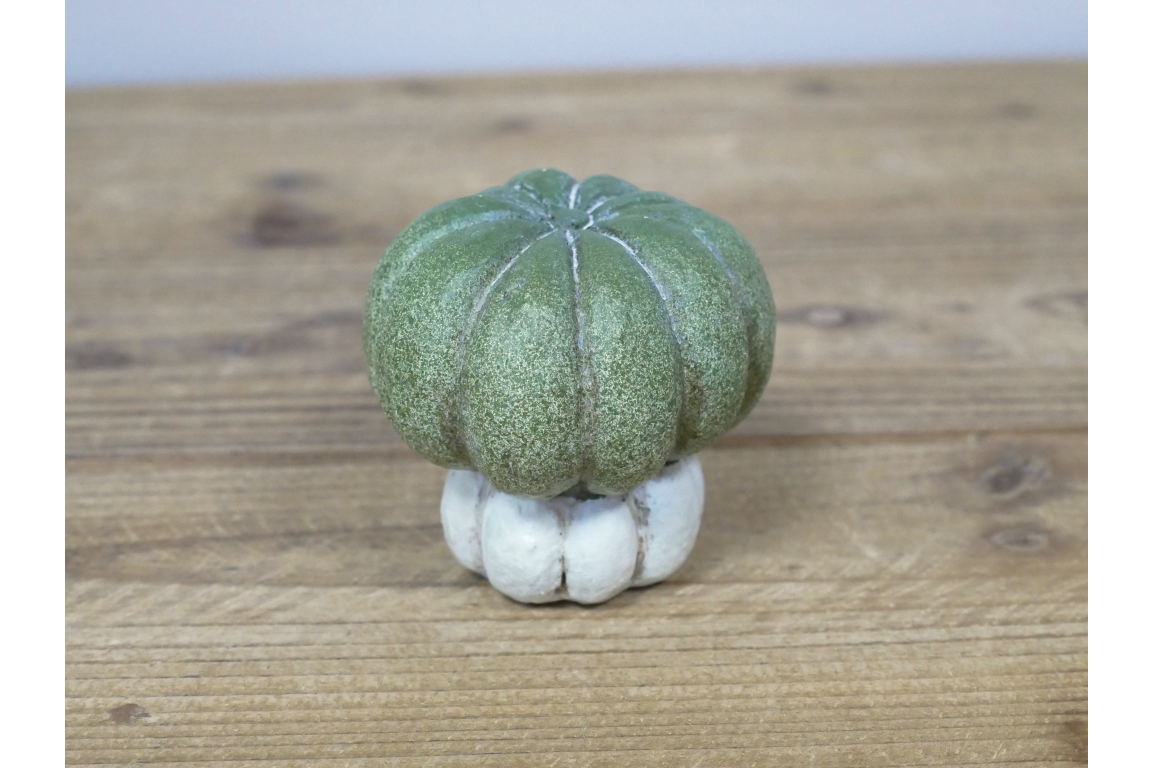 Small Pumpkin