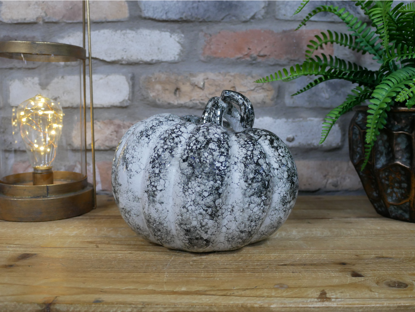 Pumpkin - Medium