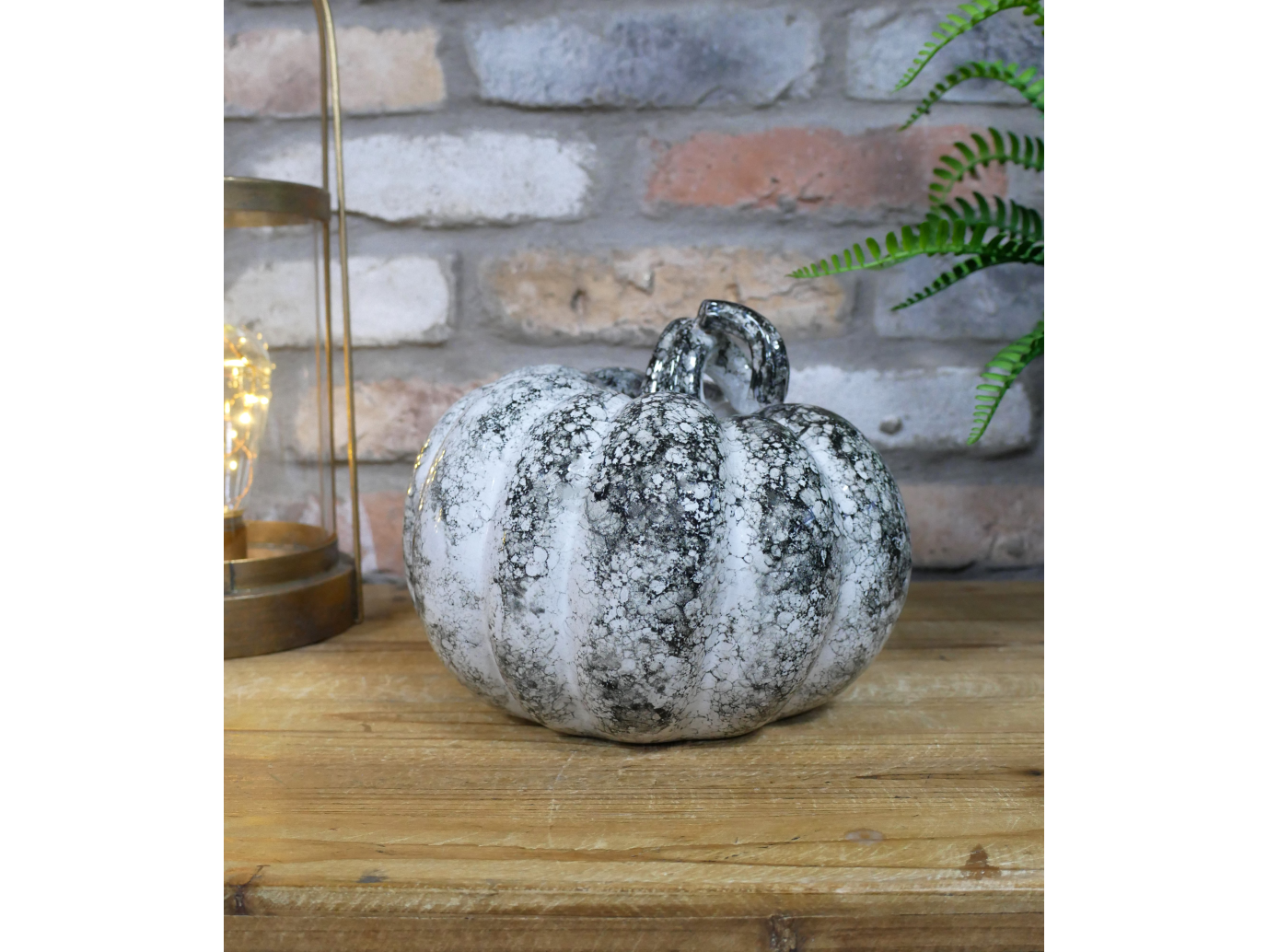 Pumpkin - Medium