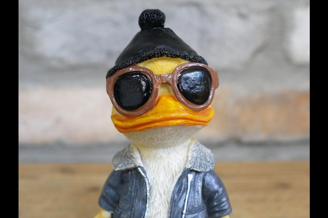 Cool Duck