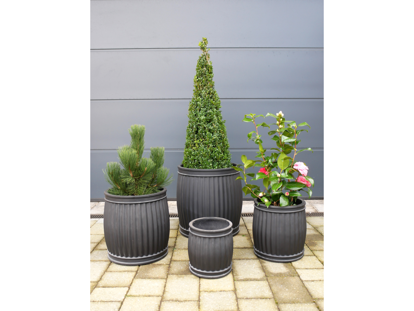 Set Of 4 Planters