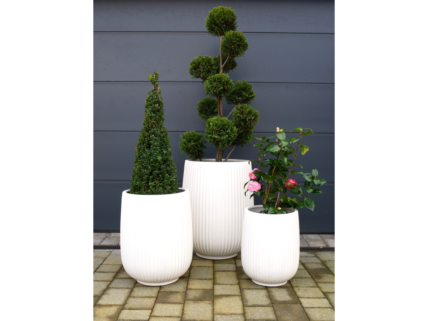 Set Of 3 Planters