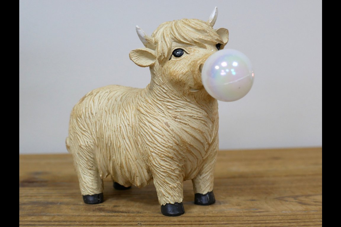 Cow Blowing Gum