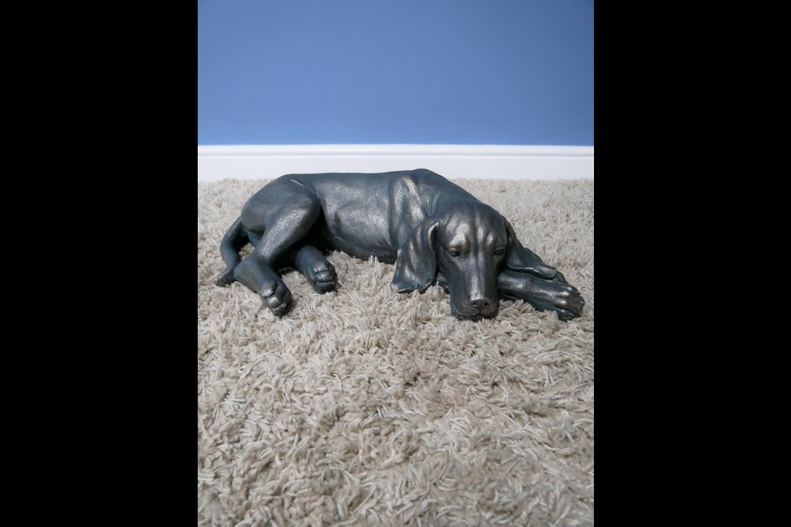 Laying Dog