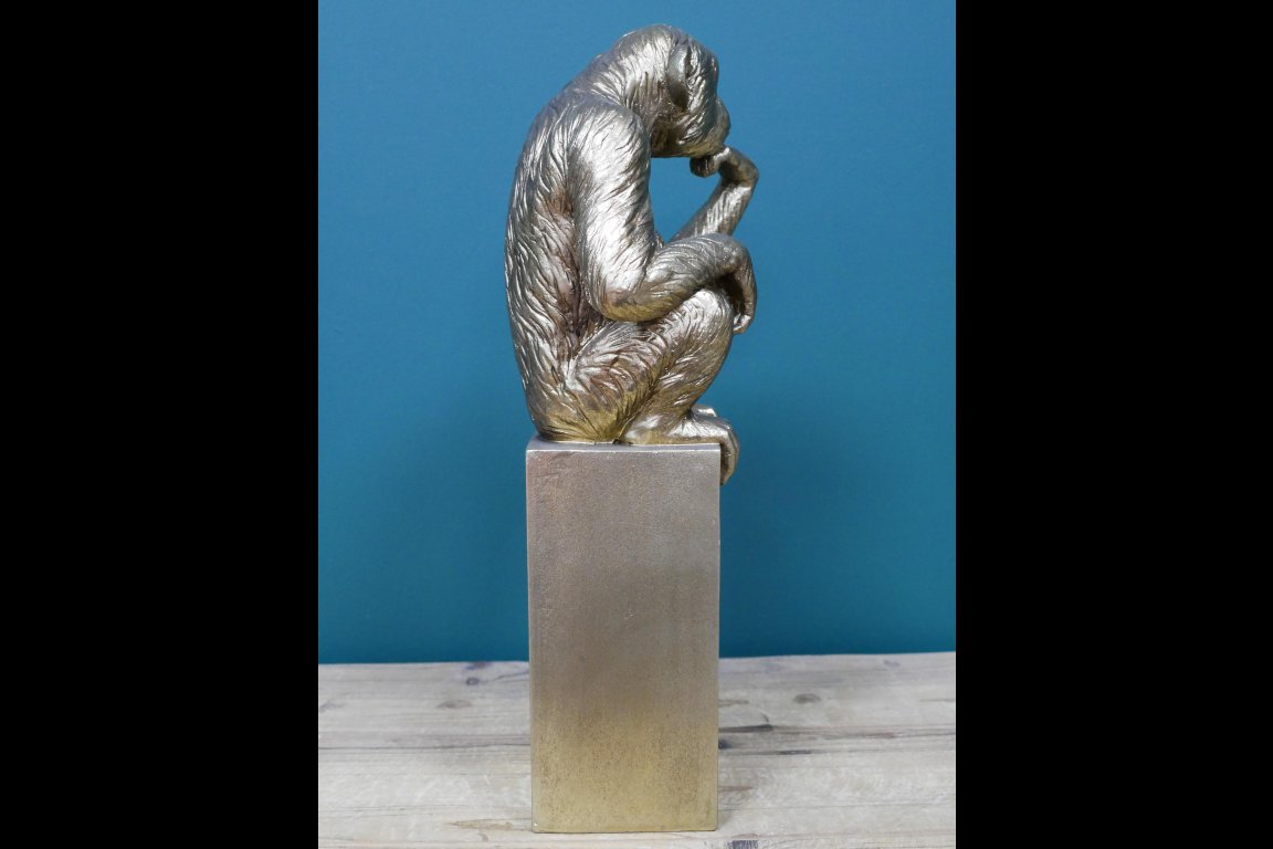 Thinking Monkey