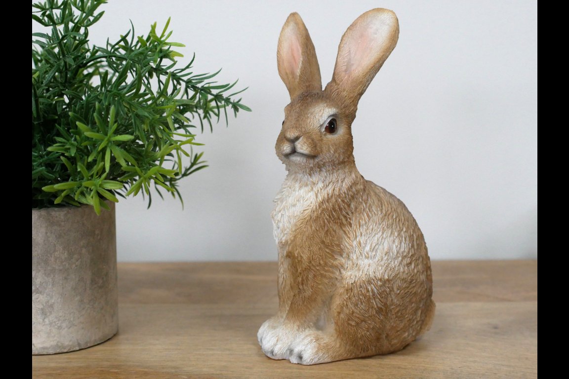 Rabbit
