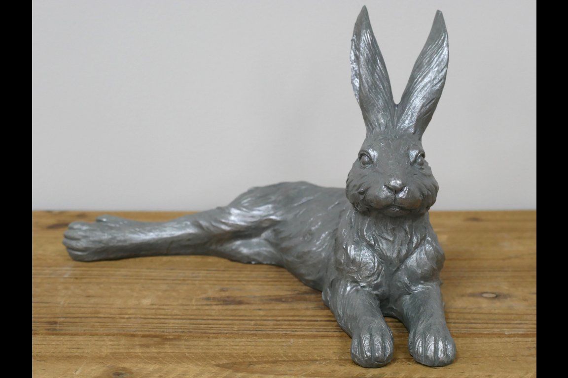 Laying Hare