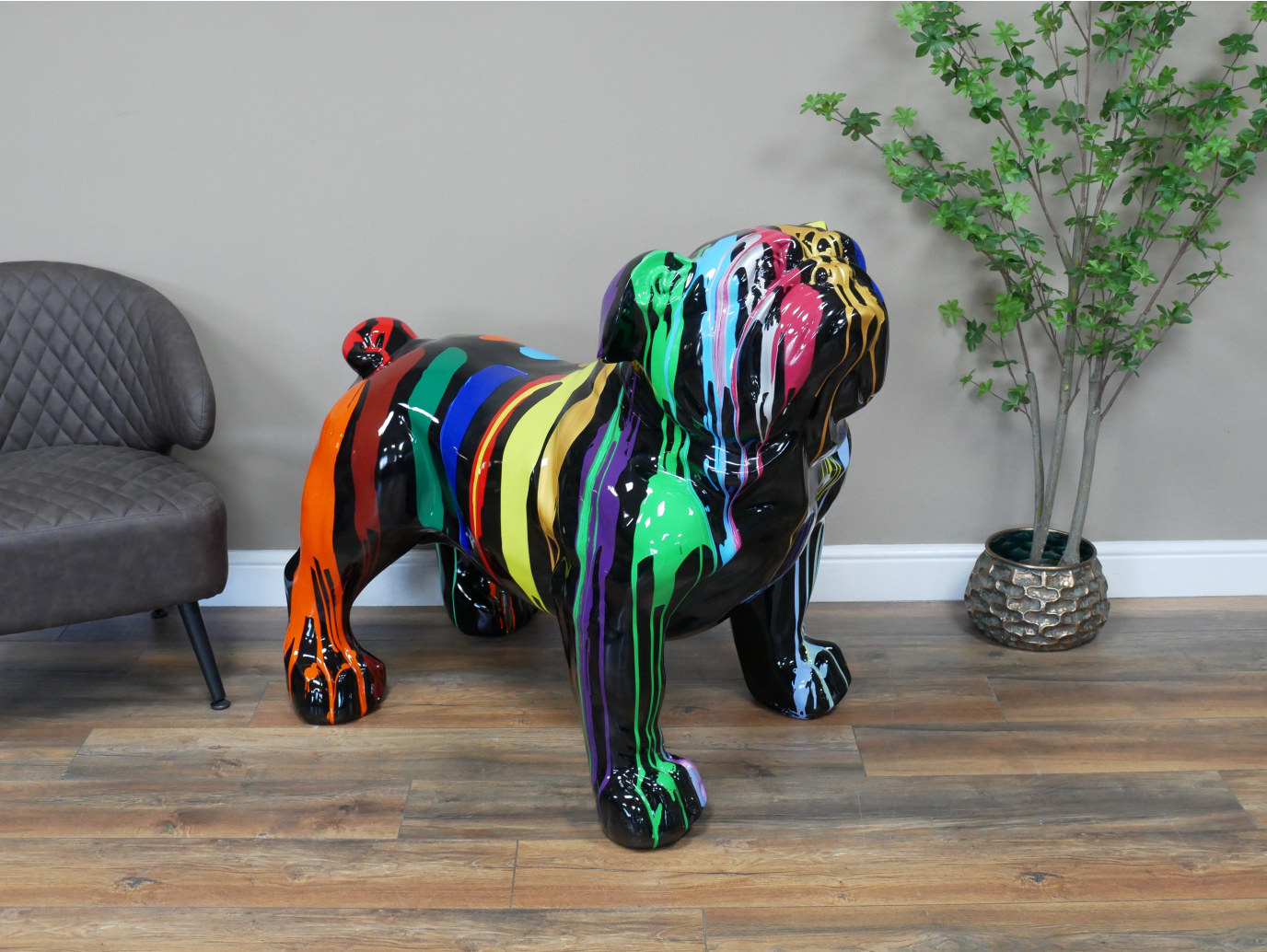 Multi Colour Bulldog