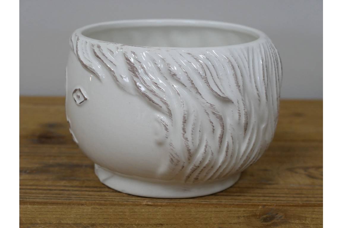Face Vase