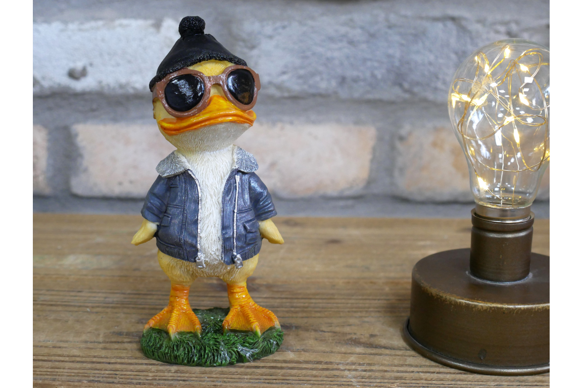 Cool Duck