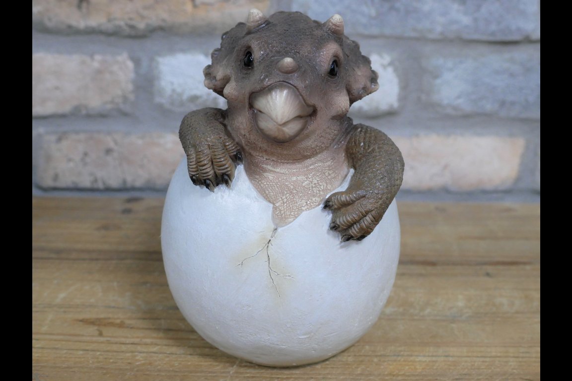 Dinosaur Egg