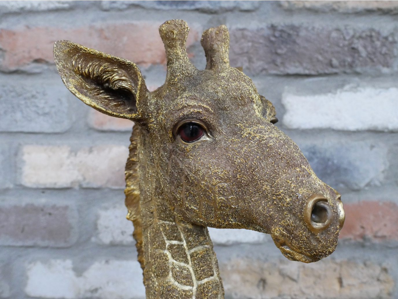 Giraffe Bust