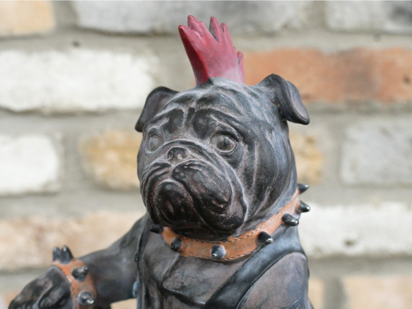 Bulldog On Motorbike
