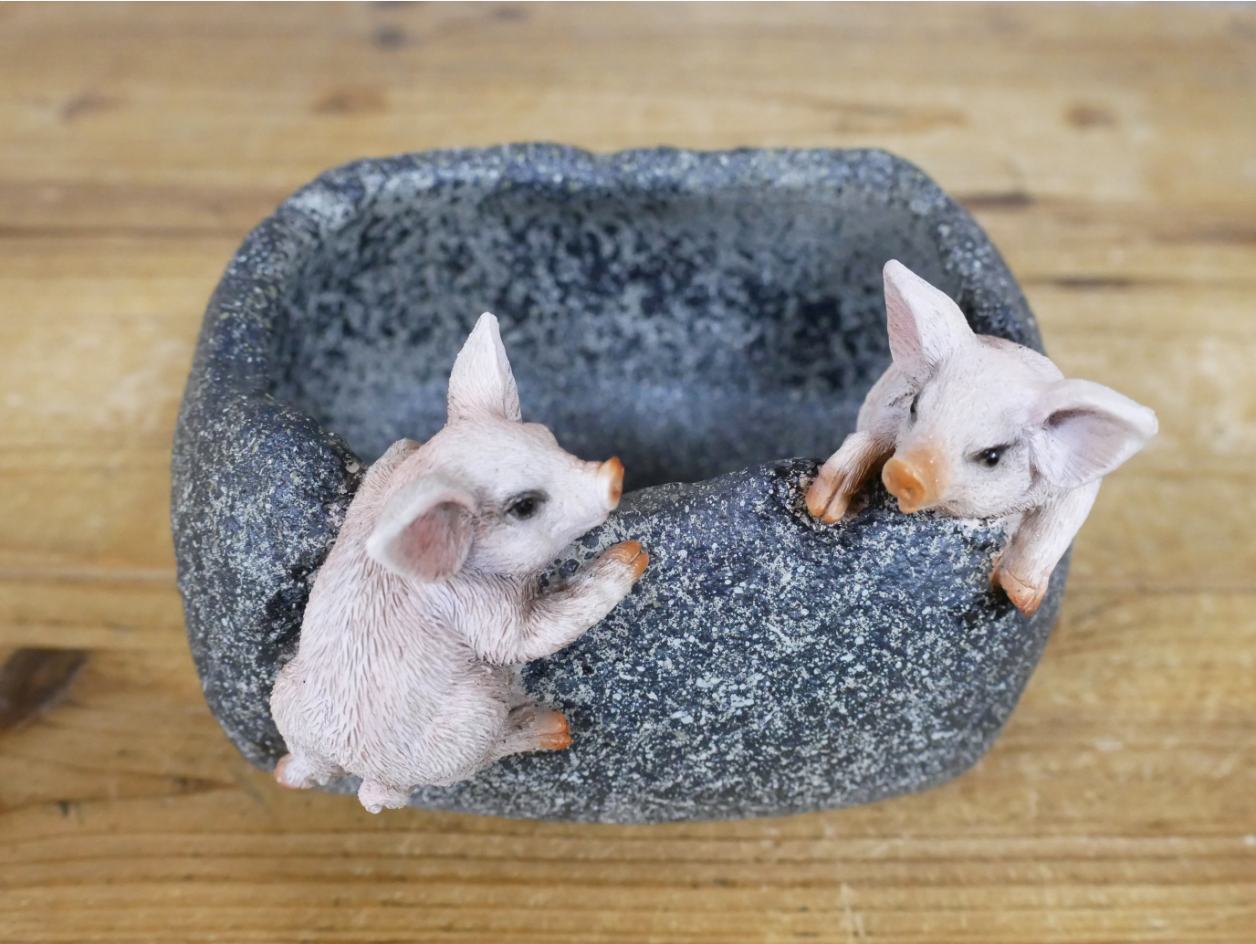 Small Pig Trough