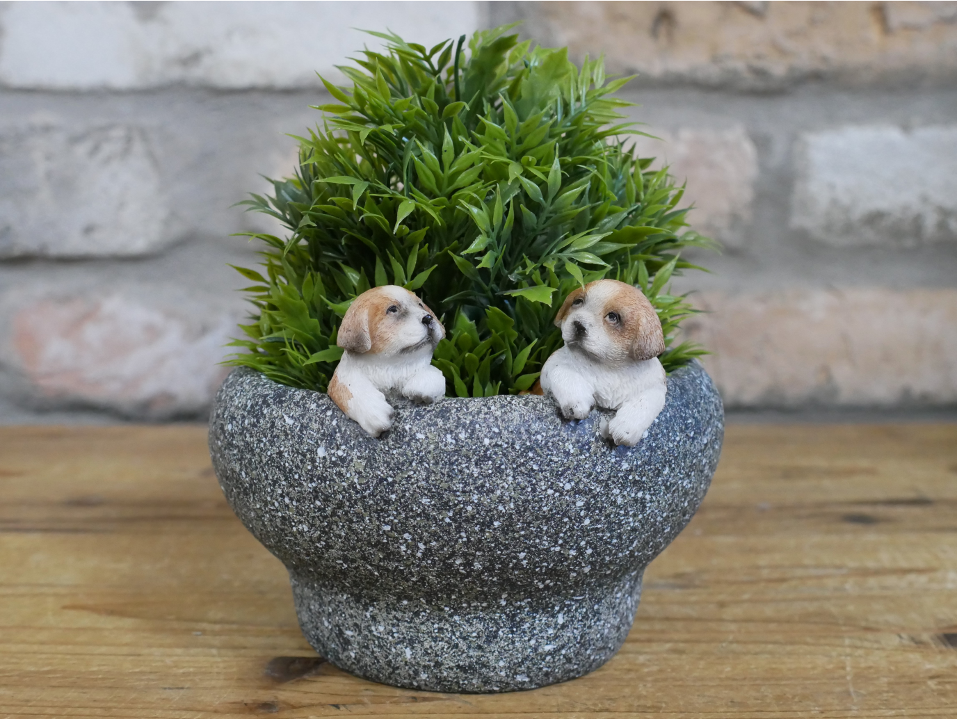 Small Dog Trough
