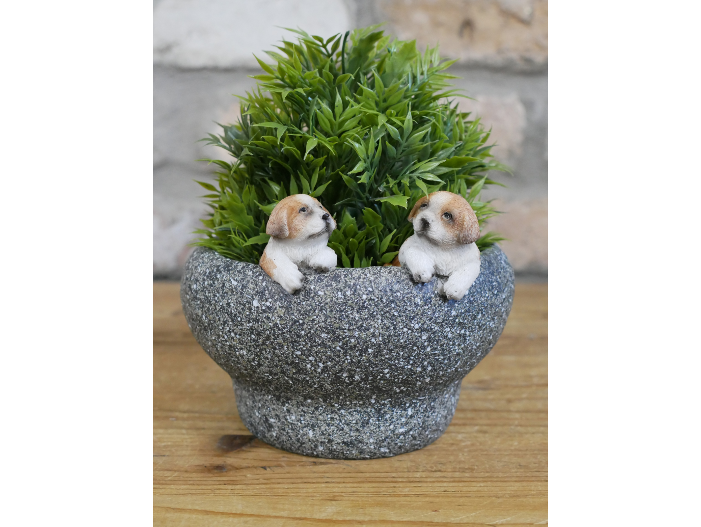 Small Dog Trough