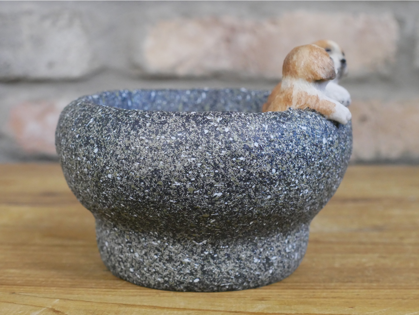 Small Dog Trough