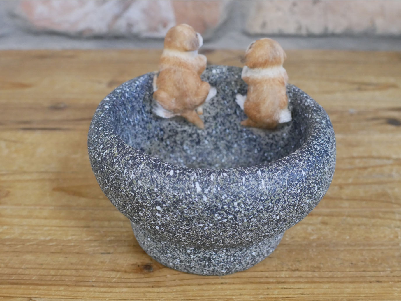 Small Dog Trough