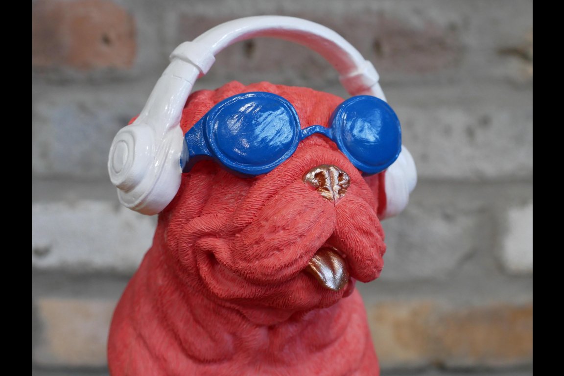 Dog With Headphones
