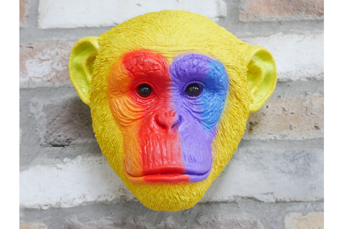 Rainbow Monkey Head