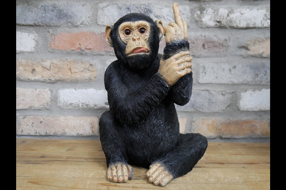 Up Yours Monkey
