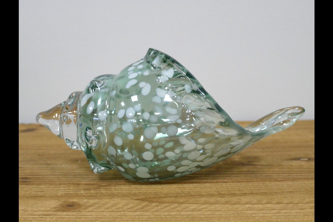 Glass Shell