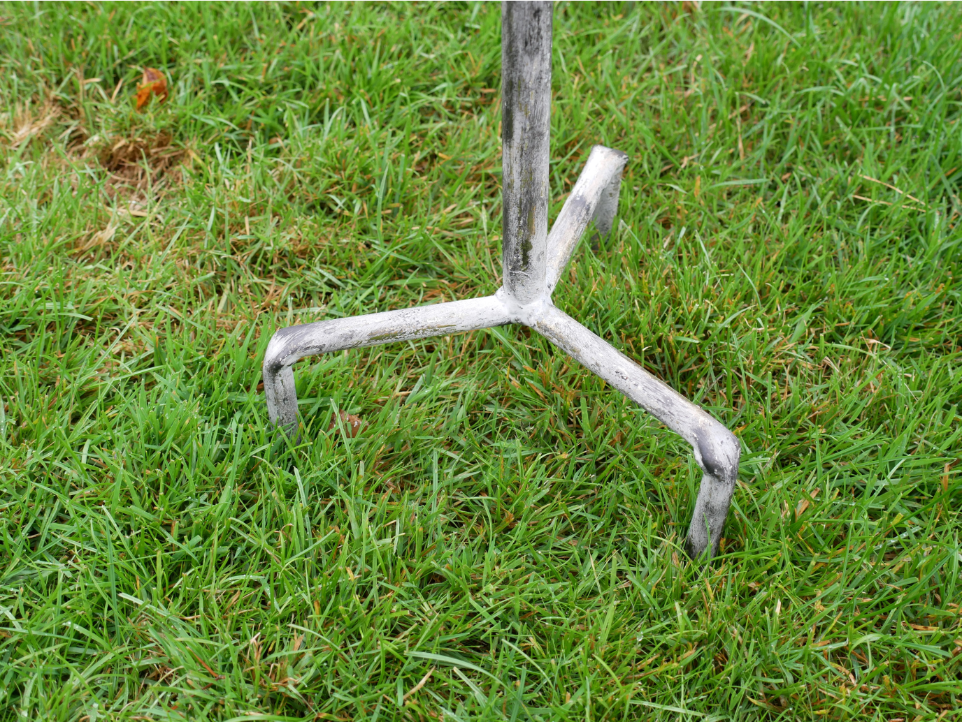 Bird Feeder
