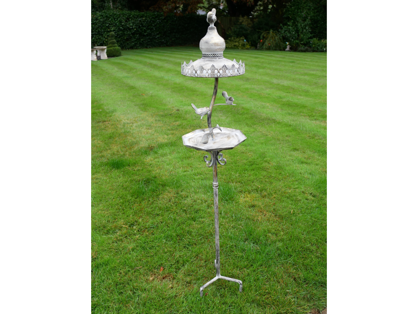 Bird Feeder
