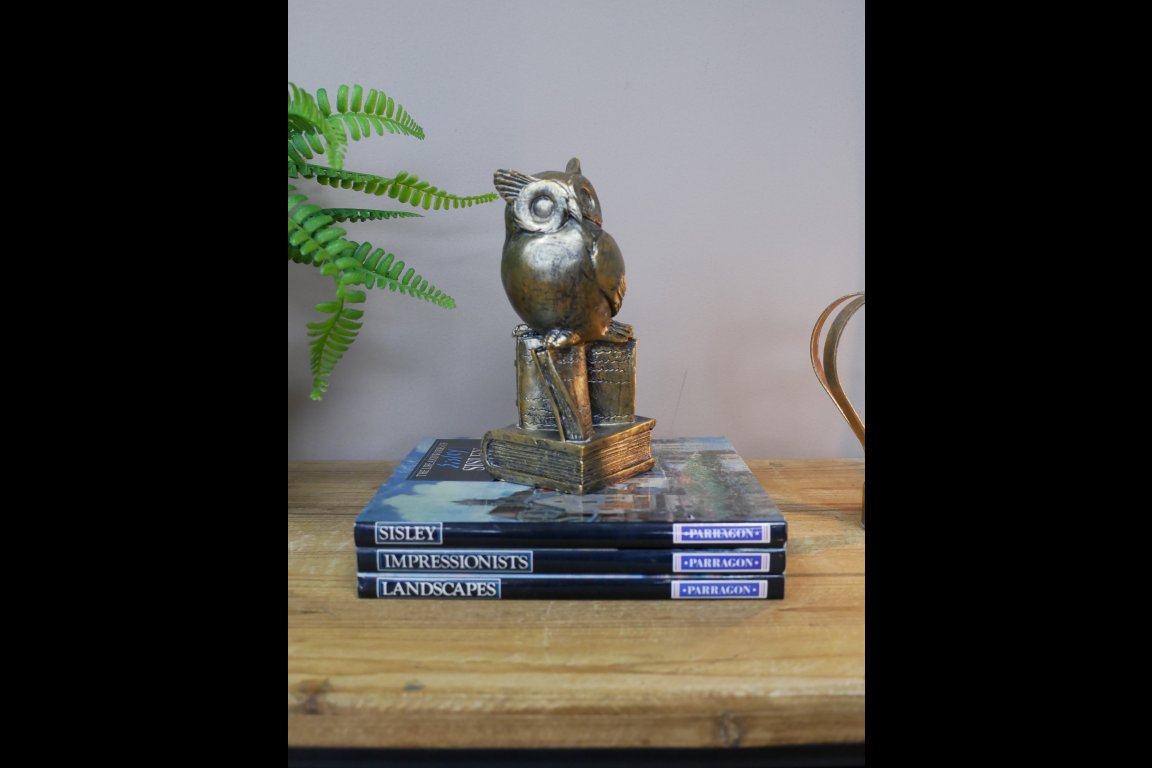 Owl Stood On Books