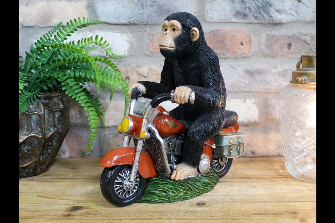 Monkey On Motorbike