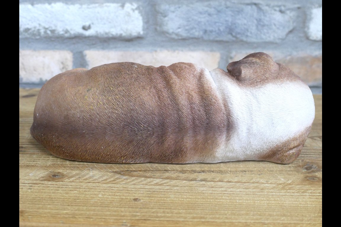 Sleeping Bulldog