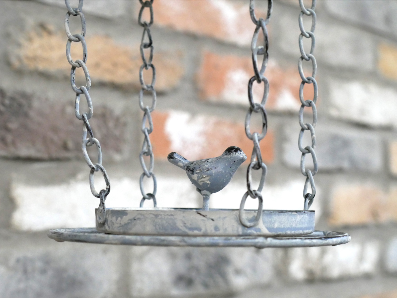 Hanging Birdfeeder