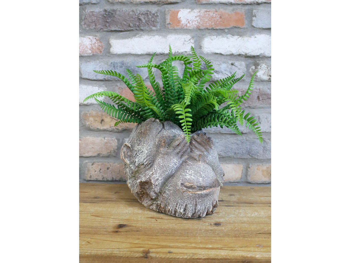 Monkey Head Planter
