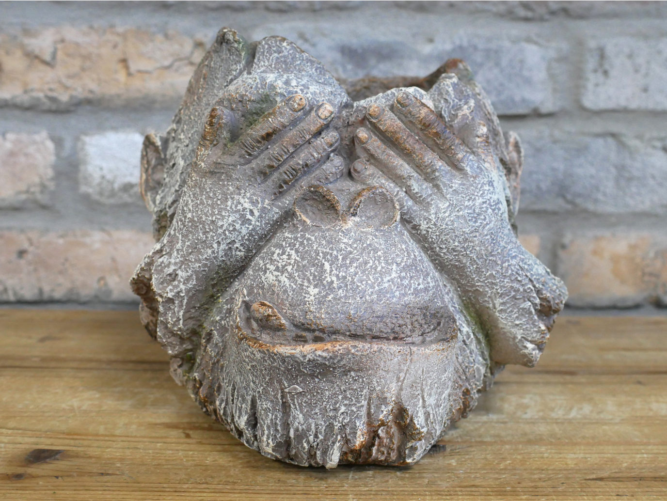 Monkey Head Planter