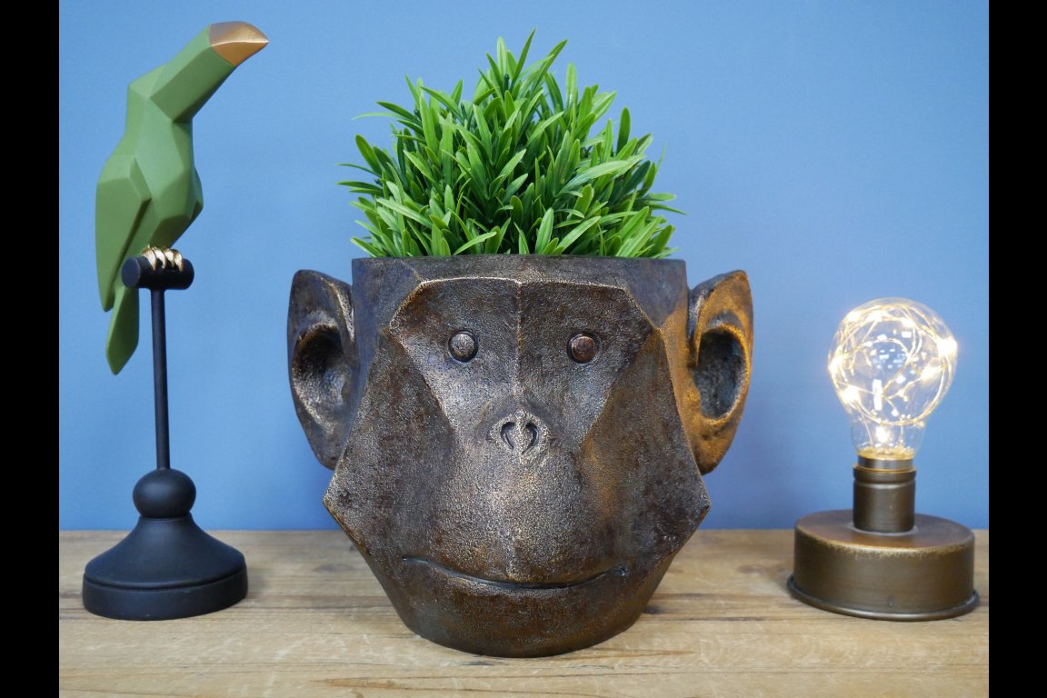 Monkey Head Planter