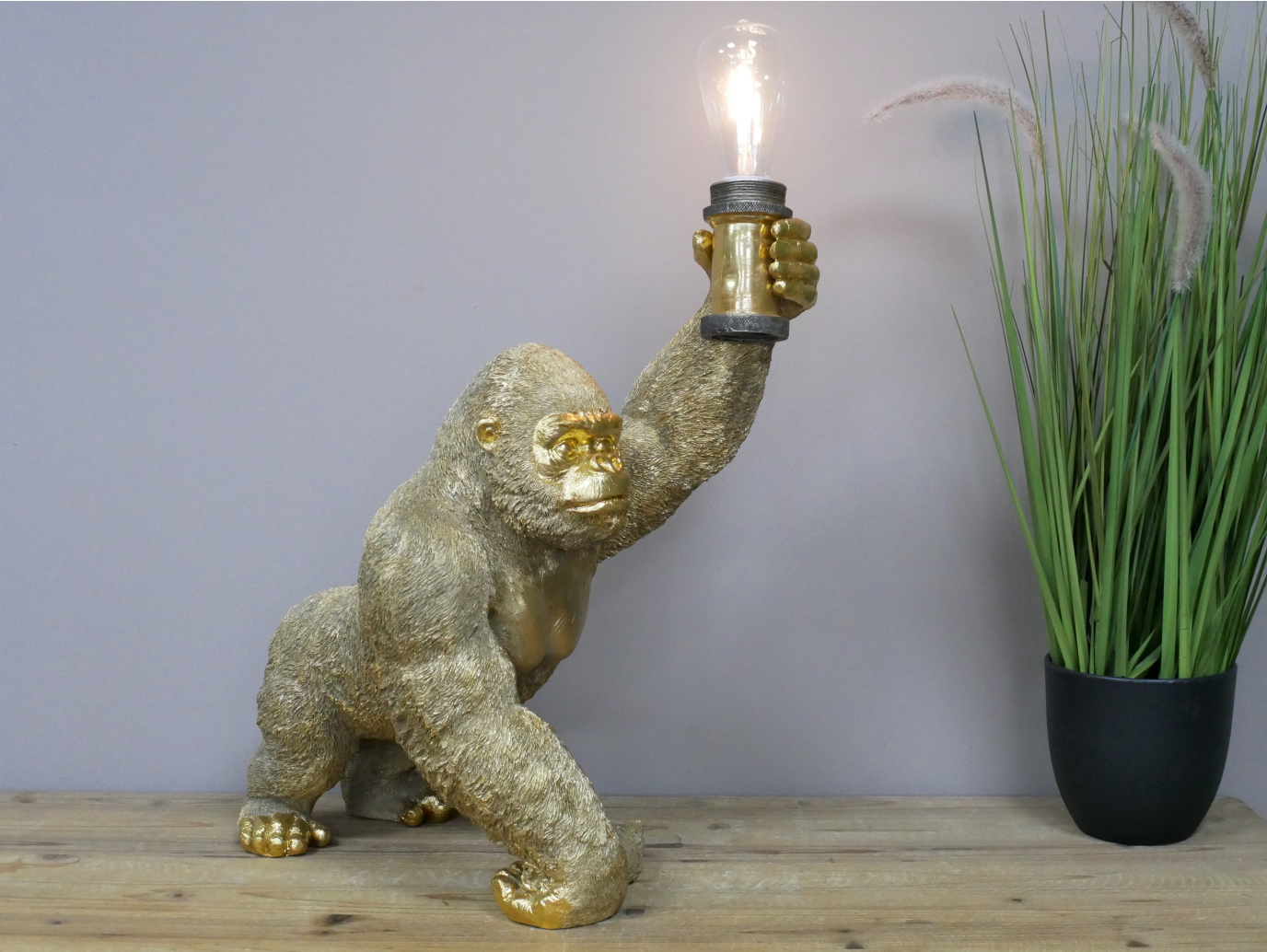 Gorilla Light
