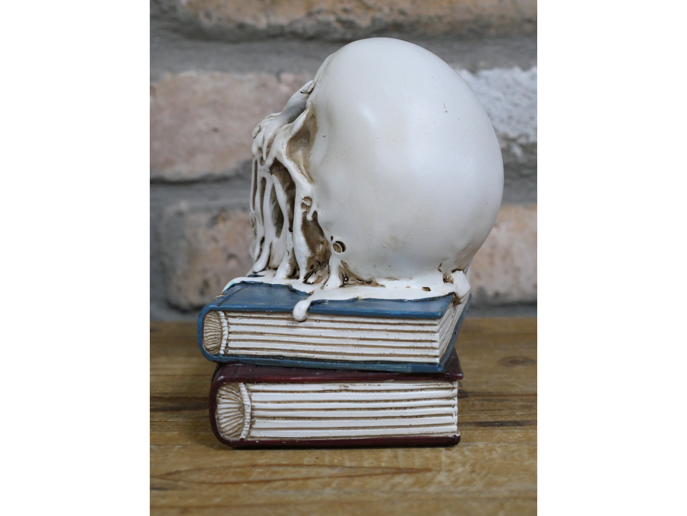 Skull Decoration