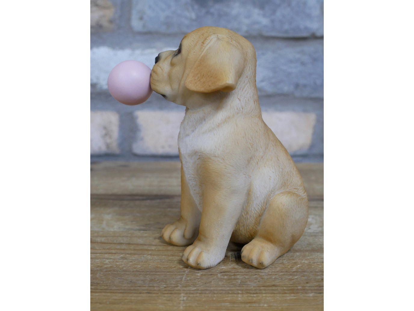 Bubblegum Dog
