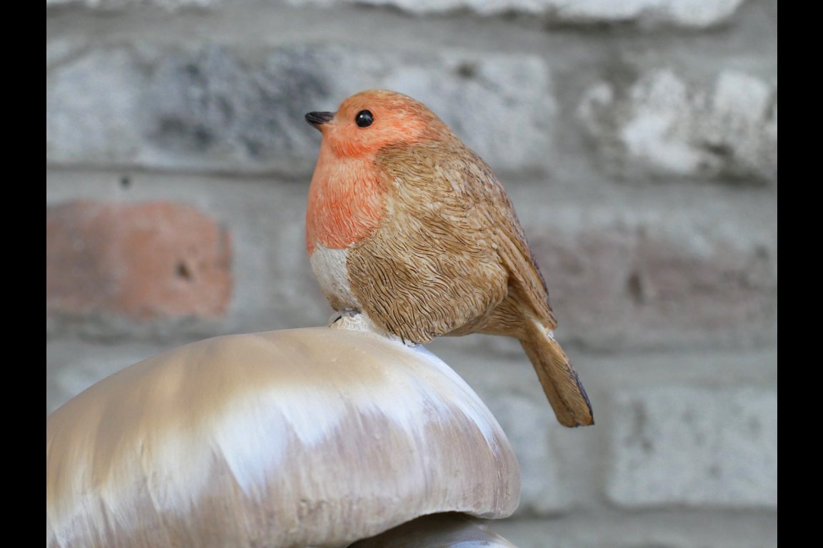 Robin On Top Of Mushrooms