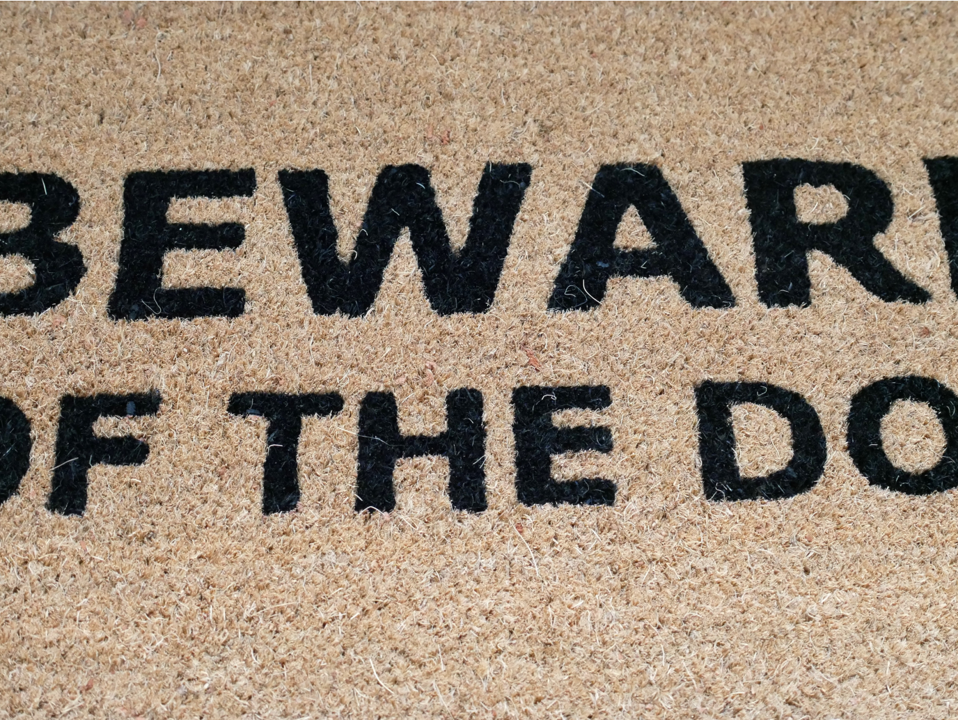 Door Mat