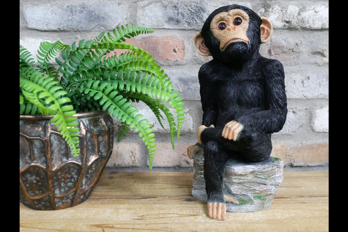 Monkey Sat On Rocks