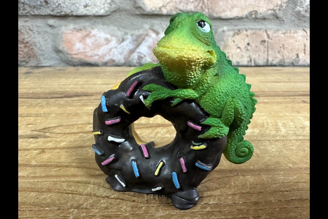 Lizard On A Doughnut