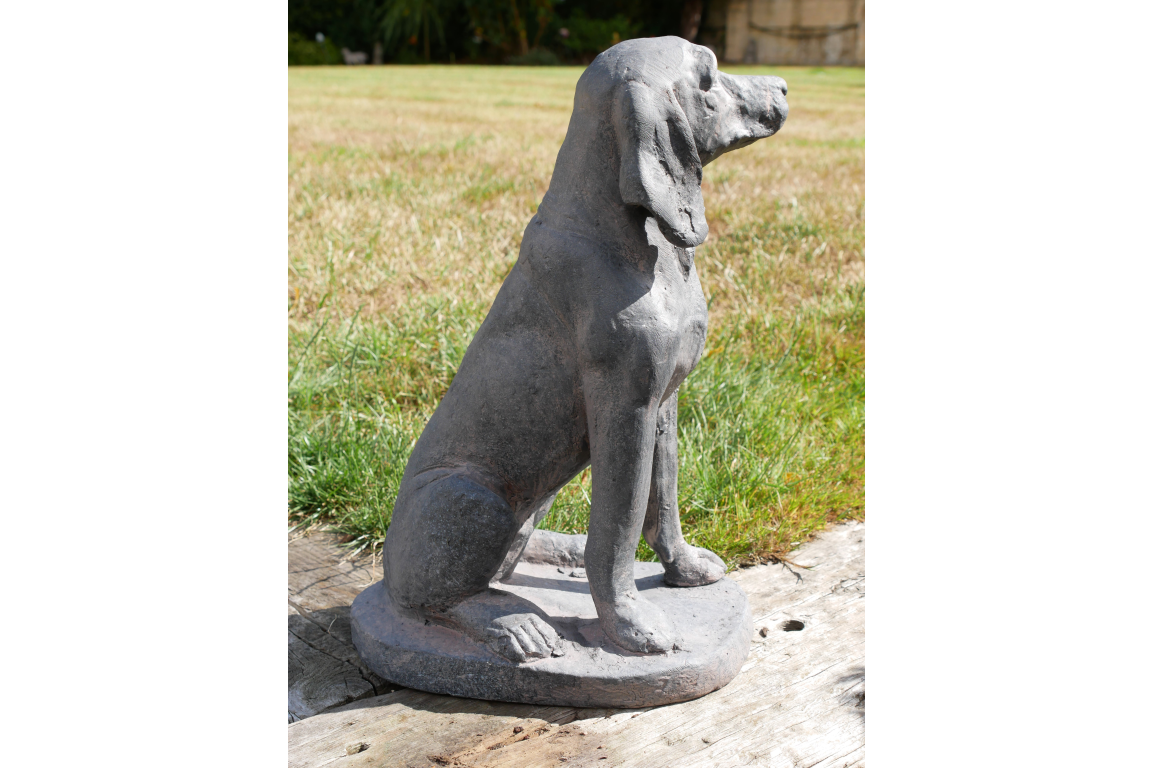 Sitting Dog