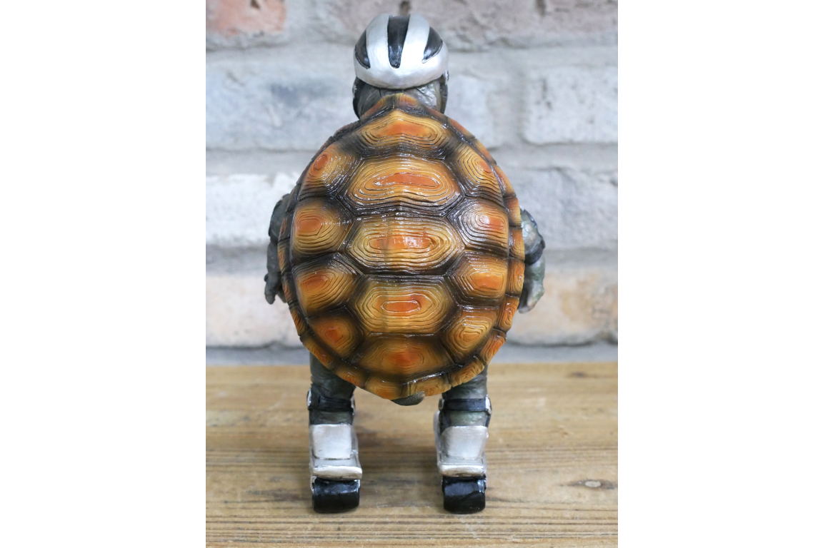 Speedy Tortoise